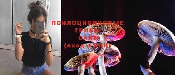 дживик Балабаново