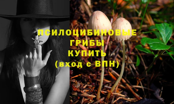 дживик Балабаново
