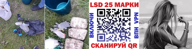 kraken маркетплейс  Межгорье  Лсд 25 экстази кислота 