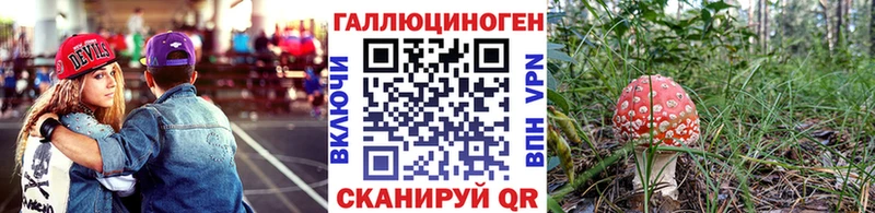 Псилоцибиновые грибы MAGIC MUSHROOMS  наркота  Межгорье 